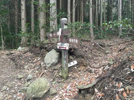 南尾根・白谷コース分岐