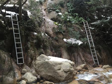 W梯子を正面から