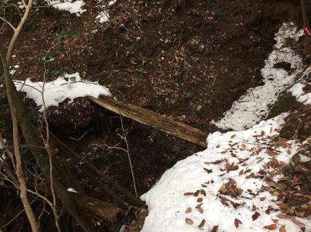 この橋は乗ってみたが信用ならず、うまく岩や根っこを掴んで巻いた