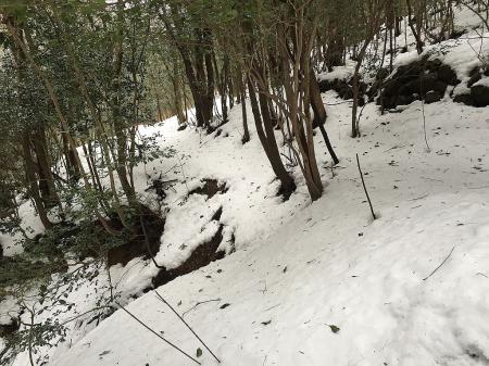 ここから雪が増えてきた