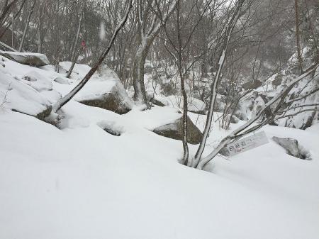 堤防を上がると雪が降ってきたのと、積雪量が増えてきて時折ズボッとはまる