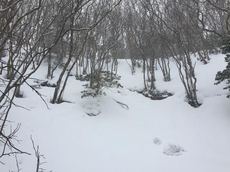 稜線が見えているのにズボズボ雪にハマってなかなか進めなかった