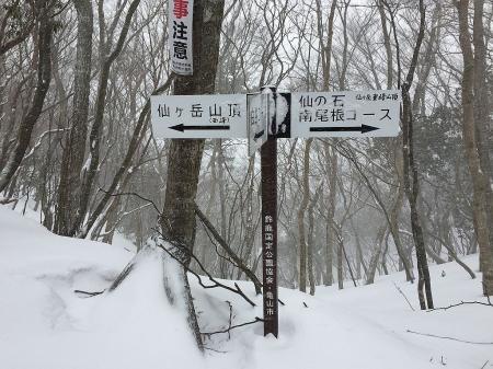 やっと稜線についた