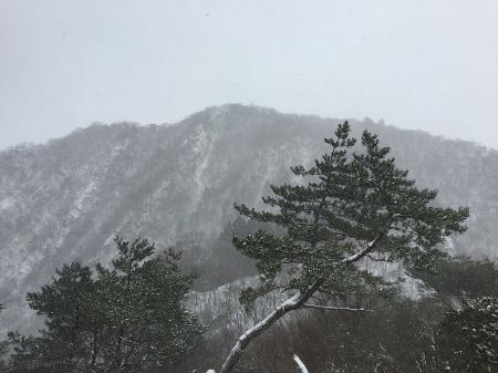 あとでいく仙ヶ岳東峰のピーク