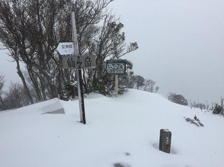 仙ヶ岳(961m)に到着。