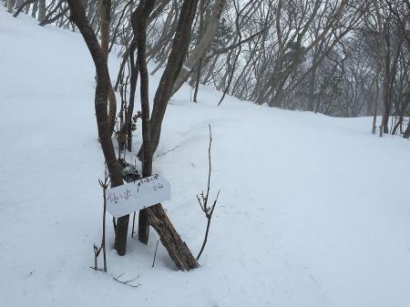 とりあえず東峰もいっておく