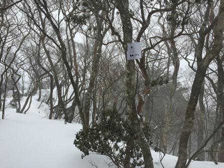 仙ヶ岳(955m)に到着。看板が割れていた
