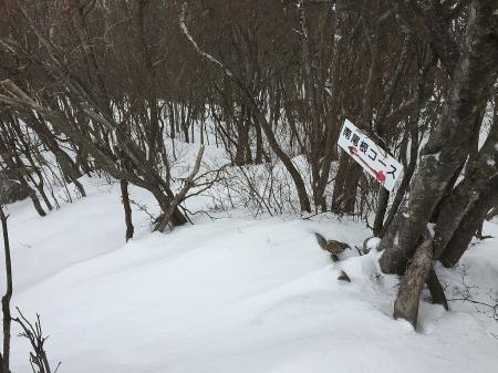 深いわけではないがズボズボもあり