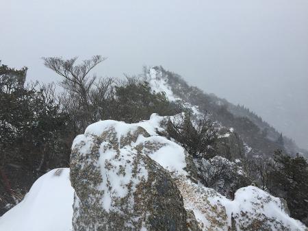 尾根はまだまだ続く