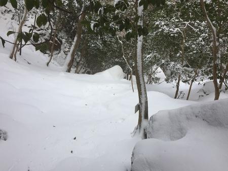 谷への下りは見た目深そうで結構浅かった