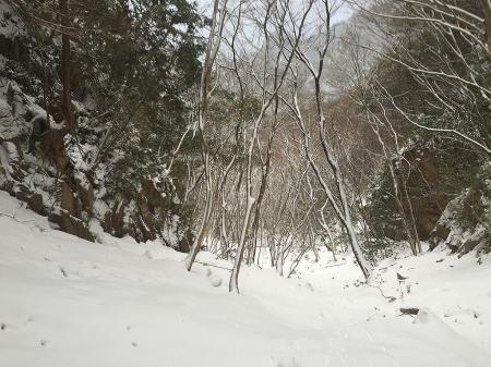 今までスピードとは違い、一気に下っていけた