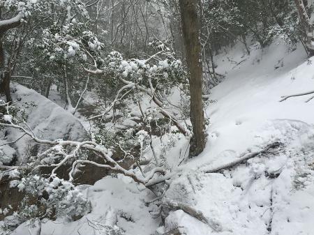 沢筋のルートに到着