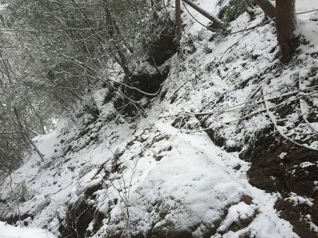 積雪なので滑落要注意だった。というか、まだアスレチック？