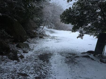 林道にでたが、これからまた長い林道を歩くことに