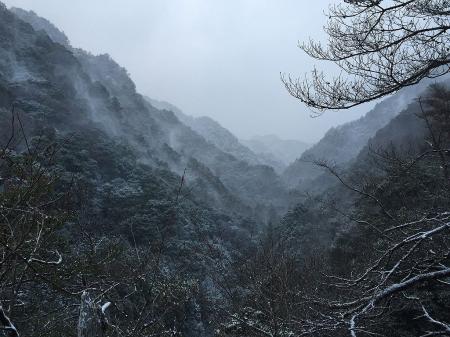 振り返ると結構幻想的な景色