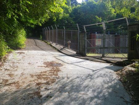 登山口よりまずは林道を登っていくけど、林道が続くわけでもなさそう