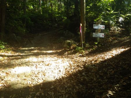 ここで矢下分岐。下山時は右側から出てくるはず。まずは真っすぐ夏明コースで登っていく