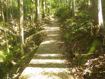 コンクリの道がひたすら続いている。どこまで続くのかわからなかったけど、実は山頂直下まで続くとはまだ知らなかった