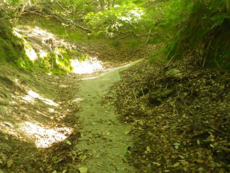 暗峠を思い出させるほどの斜度があるコンクリの道を登っていく。こういう道は足に負担がかかるんだよね