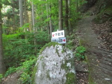 不動滝はここから下っていけば見れるらしいけど、上から見てみると大した滝でもなかったのでスルーして登り続けた