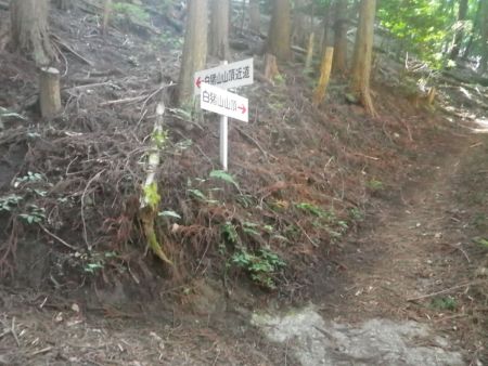 ここで白猪山山頂への近道があった。少しはコンクリの道を回避できるので左の近道を登っていった