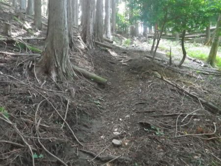 近道を登ってみたけど、大して距離が縮まったわけでもなく、まあ気持ち少しだけショートカットした感じだった
