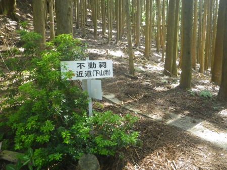 近道から登山道に合流すると不動祠というところに着いた。もう一時間近くぶっとおしで登ってるのでここらで休憩をとることにした