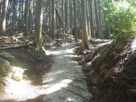 予想はしてたけど、コンクリの尾根道はつづら折れになっているとはいえ、ほぼ直登でキツかった。写真では伝わらないけどこれでも結構斜度があったりする