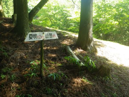 山頂まであと410mともうすぐなんだけど、最後に尾根の直登が待っている。とはいってもそこまで距離はないので一気に登ることにした