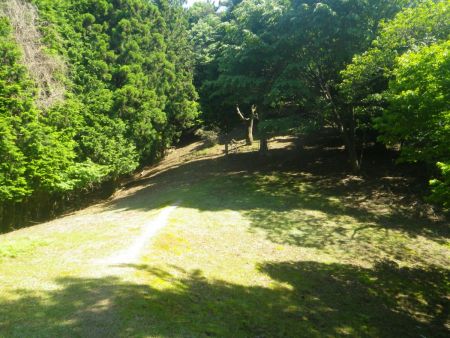 ここから尾根の直登がはじまる。本当につづら折れにもなっていなくて直登するんだね