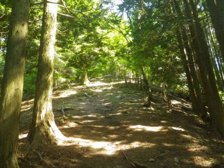 ちょっと急登だけど、距離は短いのはわかっていたのでさっさと登っていくことにした