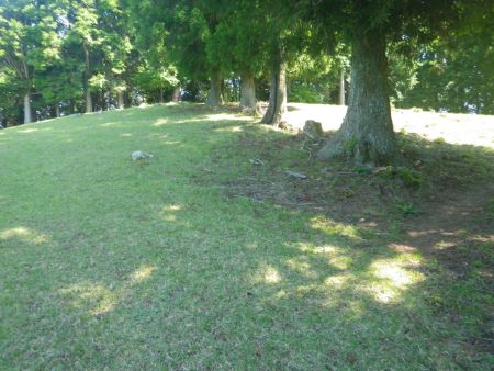 一つのピークのようなところまで登って右に行くとすぐに山頂なはず。わざわざ上まで登らなくてもここで右の道に行けばいい