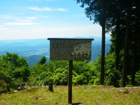 これがいろんな記事で撮影されている看板で、白い猪の絵が描いてある