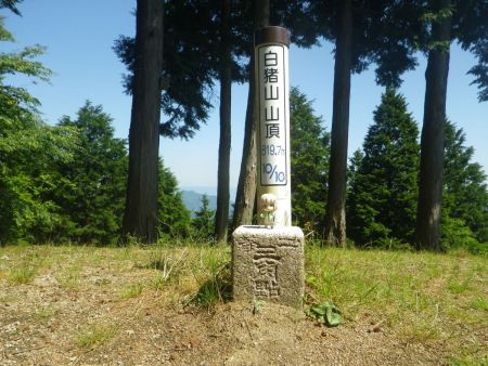 三角点と雪村あおいちゃんも一応撮影しておいた。やっぱり白い猪の絵が書いてる看板のほうがいいかもしれない