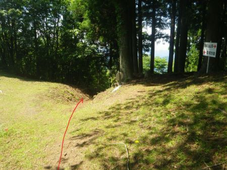 ここで分岐。東側の尾根を下っていくので、この左側の登山道を下っていくことにした