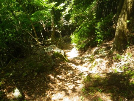 こっちはコンクリの道なんかなくて登りやすそうな登山道になっている