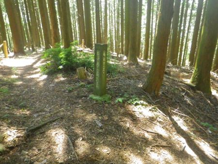 ここで分岐。このまま直進して尾根を下ると別のところに行ってしまう。最初は矢下方面へ行くのでここを右に下る