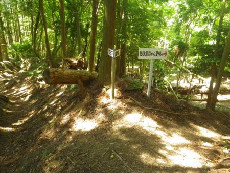ここで夏明方面に下るので右へ。どちらにしても下りは右へ右へと夏明コース方面に向かっていくのが基本