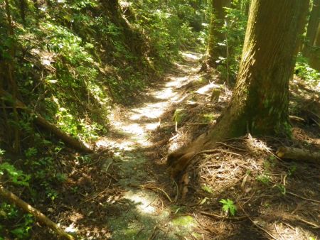 ここでコンクリの道になったけど、このルートで下ってきたけど、こっち側から登ったほうが楽だったと思う