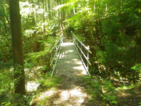 この橋を渡るとすぐに夏明コースと合流するはず