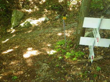 夏明コースと合流した。最初の矢下分岐のところなので登山口はすぐそこになる