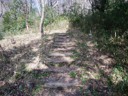 木の階段を登っていくけど結構整備されているんだね