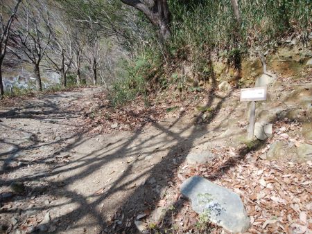 登山道はわかりやすいように矢印がある看板があった。従って登っていく