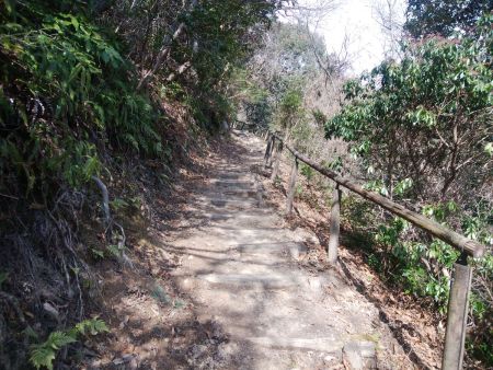 それにしてもよく整備された登山道だ。しかもなだらかな登りもあったりしてしんどくない