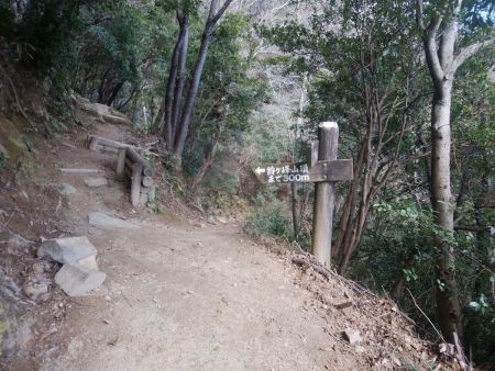 鈴ヶ峰山頂まであと300m地点。この300mが長いのか短いのかわからない