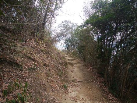 上が明るくなってきたらあともう少しで山頂。最近は山頂が近づくと感覚ですぐわかる