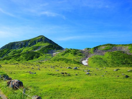北アルプスという感じがする
