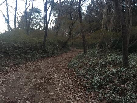 最初はなだらかな登り