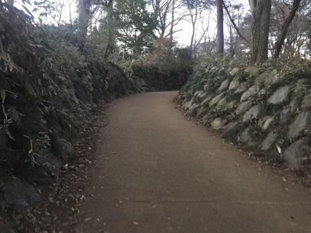 途中から舗装された道が続く