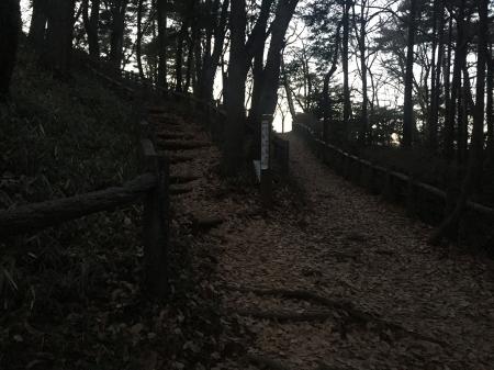 ここの分岐でラスト。直進は多峯主山